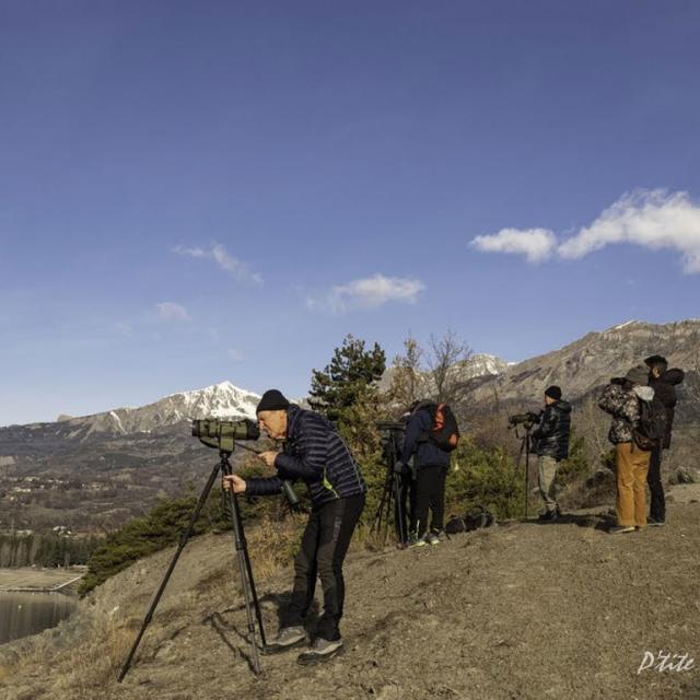 Observateurs des oiseaux d'eau, comptage Wetland janvier 2019 - Serre Ponçon - © Parc national des Écrins