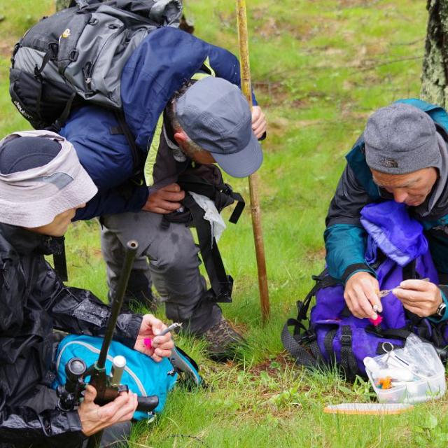 Prélèvement génétique bouquetins - queyras-Ecrins - Eric Belleau