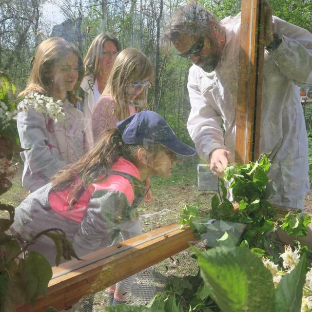 apimobile - -scolaires -Ecrins de nature 2019 - Vallouise - photo C.Gondre - Parc national des Ecrins