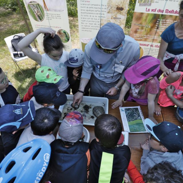 AFB insectes aquatique - scolaires -Ecrins de nature 2019 - Vallouise - photo P.Saulay - Parc national des Ecrins