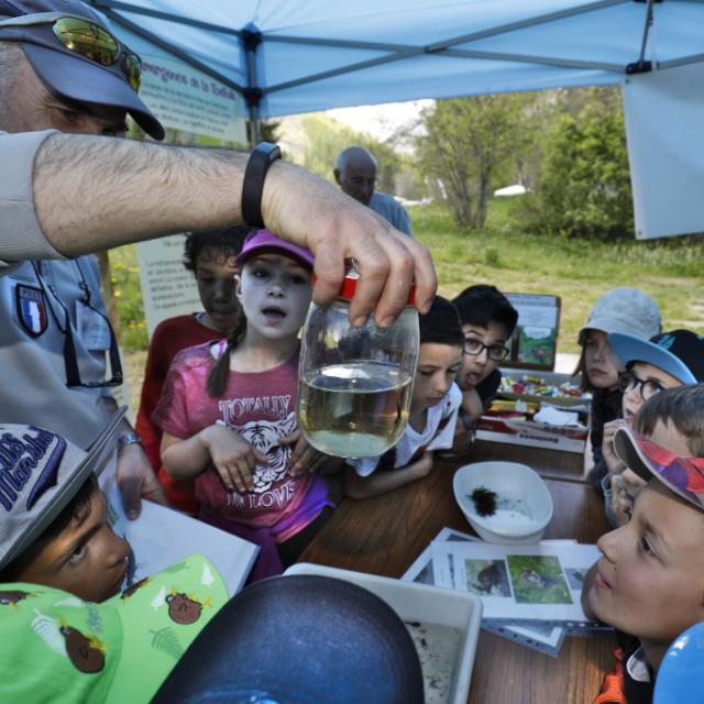 AFB insectes aquatique - scolaires -Ecrins de nature 2019 - Vallouise - photo P.Saulay - Parc national des Ecrins