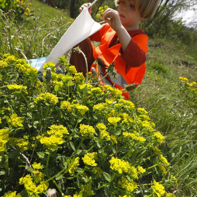 Art et nature - scolaires -Ecrins de nature 2019 - Vallouise - photo P.Saulay - Parc national des Ecrins