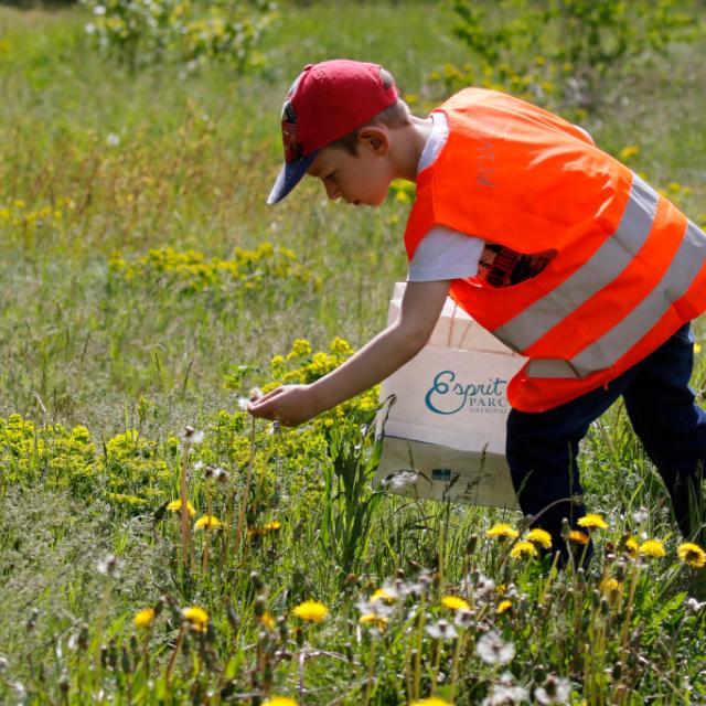 Art et nature - scolaires -Ecrins de nature 2019 - Vallouise - photo P.Saulay - Parc national des Ecrins