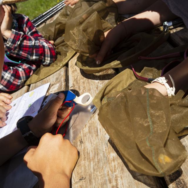 insectes -  scolaires -Ecrins de nature 2019 - Vallouise - photo T.Maillet - Parc national des Ecrins