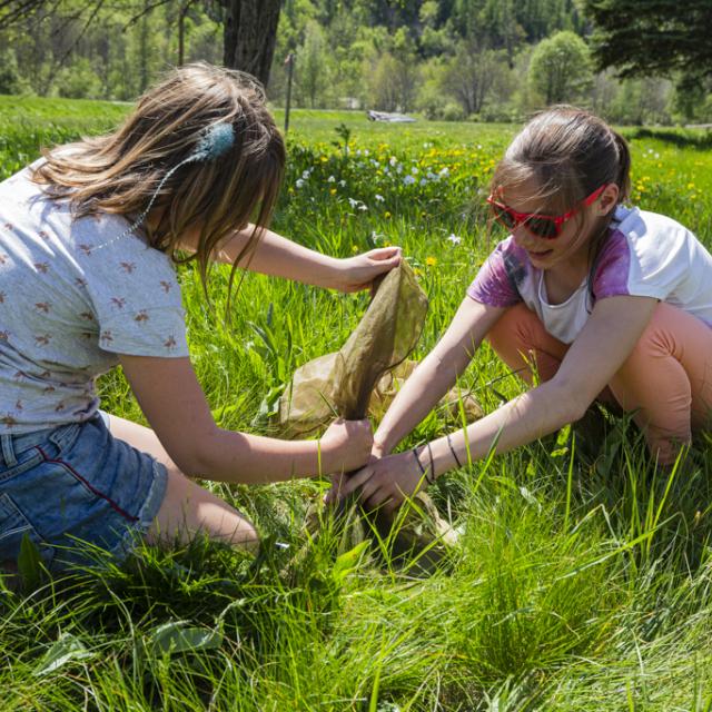 insectes -  scolaires -Ecrins de nature 2019 - Vallouise - photo T.Maillet - Parc national des Ecrins