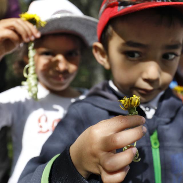 Jeu de nature insolite avec Marine - scolaires -Ecrins de nature 2019 - Vallouise - photo P.Saulay - Parc national des Ecrins