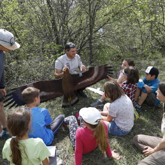 Rapaces -scolaires -Ecrins de nature 2019 - Vallouise - photo P.Saulay - Parc national des Ecrins