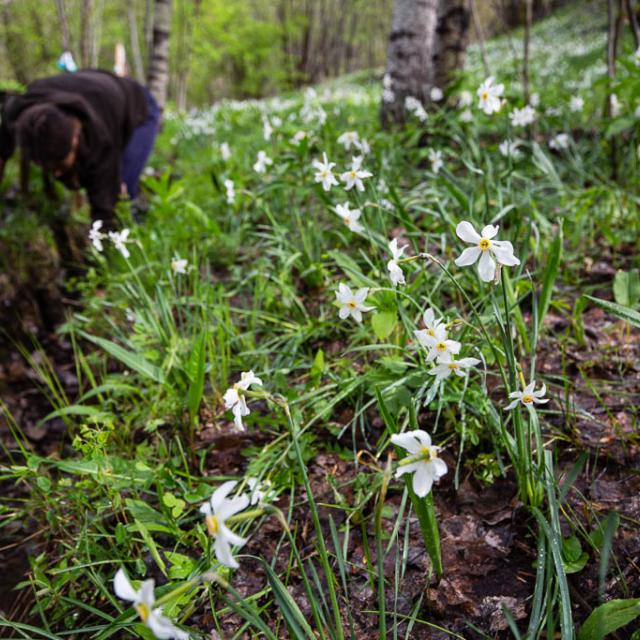 Corvée du canal  Béal de Pelvoux -  Ecrins de nature 2019 en Vallouise - © Thierry Maillet -Parc national des Ecrins