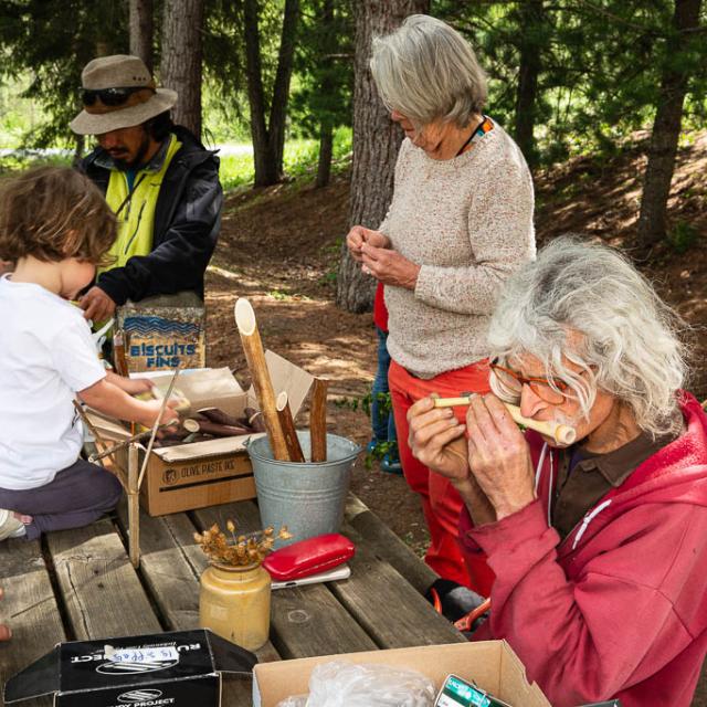 Musique verte -  Ecrins de nature 2019 en Vallouise - © Thierry Maillet -Parc national des Ecrins