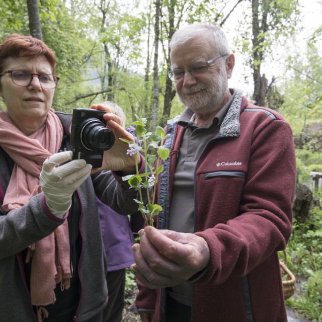 Cueillette et cuisine sauvage avec le gite "Au fil de l'onde" _ Ecrins de nature 2019 à Vallouise - © P.Saulay-Parc national des Ecrins