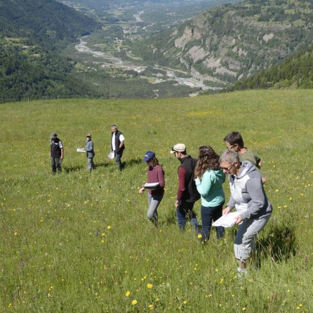 Le jury du concours visite la parcelle de Julien et Noémie - ferme des Cabrioles - - juin 2019 _ Concours prairies fleuries Champsaur - © D.Vincent - Parc national des Ecrins