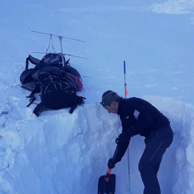 Bouquetin collier GPS retrouvé sous une avalanche-Valbonnais -janv 2020 © Parc national des Écrins