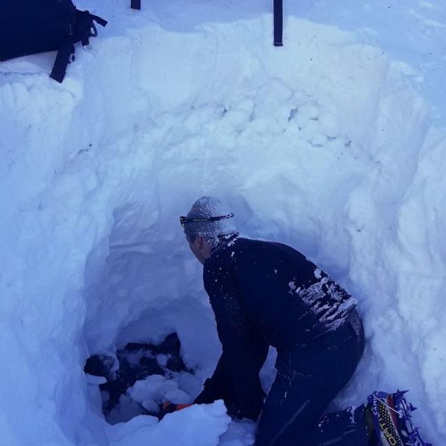 Bouquetin collier GPS retrouvé sous une avalanche-Valbonnais -janv 2020 © Parc national des Écrins