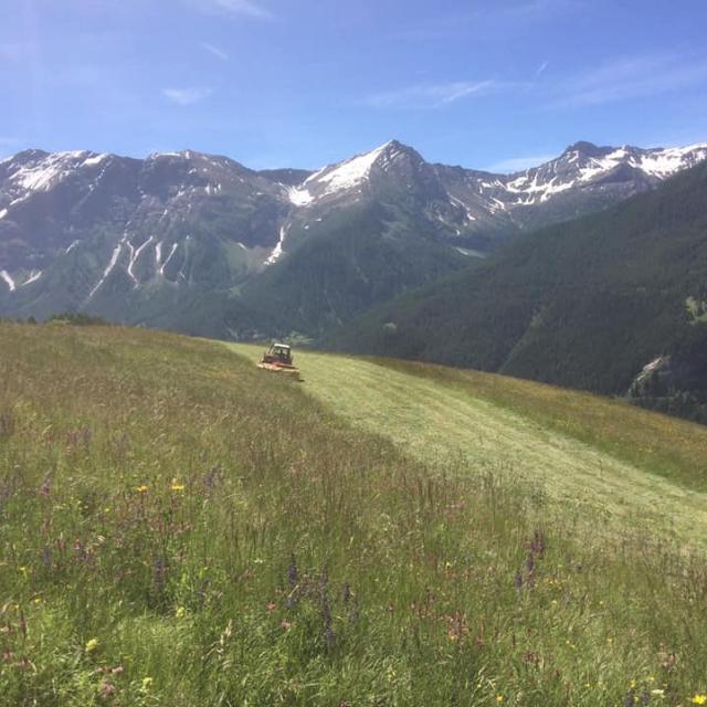 fauche prairie © Ferme des cabrioles