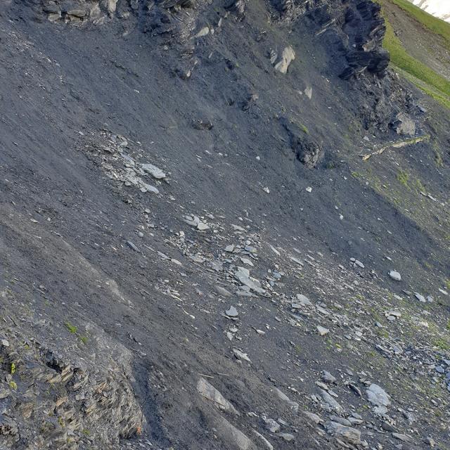Eboulement et glissement de terrain sur le sentier des Crevasses - mai 2020 - photo E.Vannard - Parc national des Ecrins
