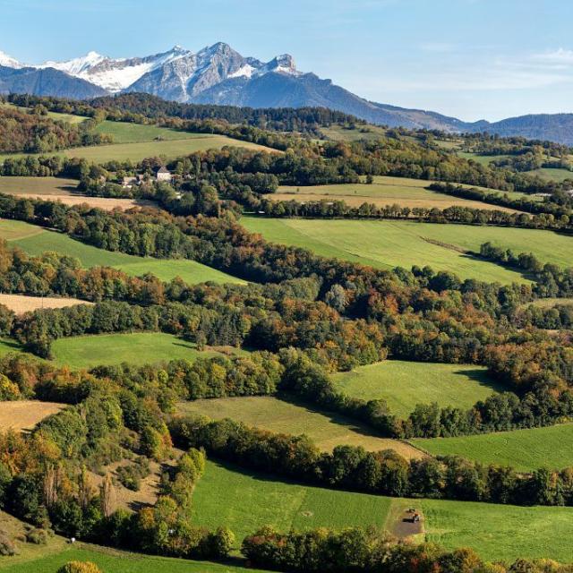 Bocage du Champsaur - © P. Saulay - PNE