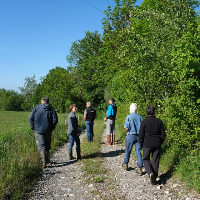 Concours d'agroforesterie : visite du jury - D. Vincent - PNE