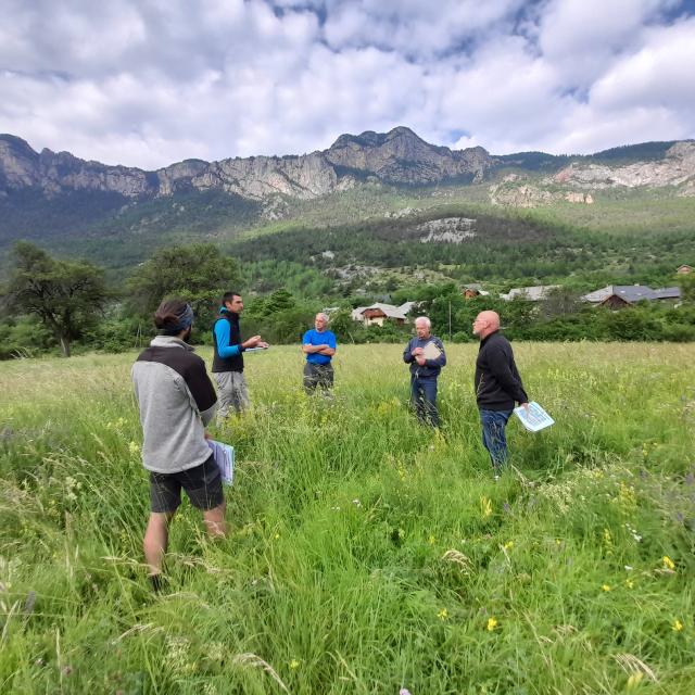 Concours des prairies fleuries : visite du jury - PNE