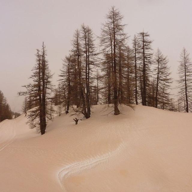 Dépôts de sable saharien au Monêtier-les-Bains, février 2021 - © C. Coursier - PNE