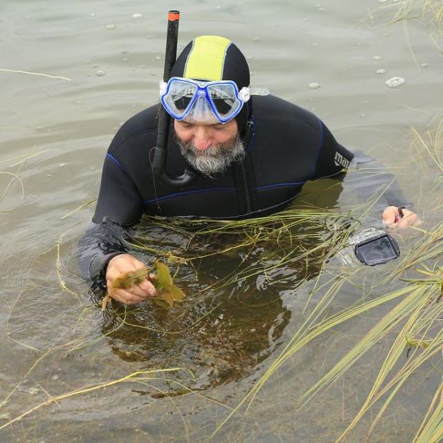 Excavating aquatic plants at Lac des Sirènes © M. Corail - PNE