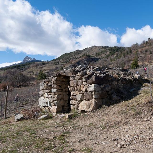 Cabane de vigne avant restauration © M. Coulon - PNE