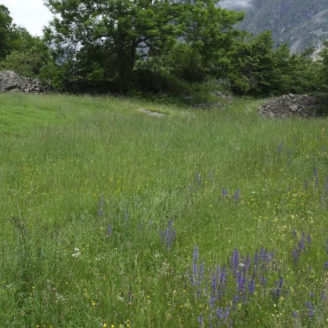 La parcelle gagnante d'Alain Barban aux Portes © D. Vincent - PNE