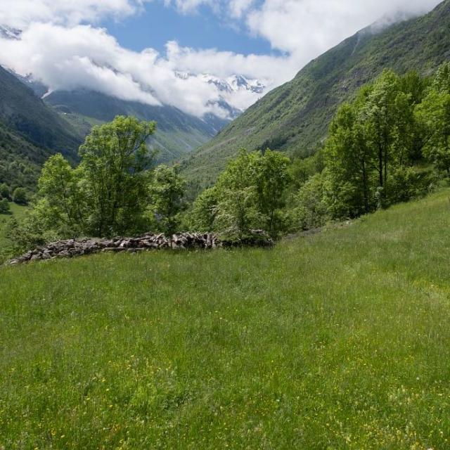 La parcelle gagnante d'Alain Barban aux Portes © D. Vincent - PNE