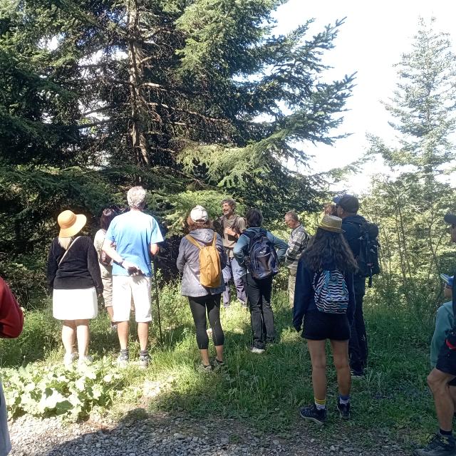 Randonnée à la découverte du mélèze - Marion Digier - Parc national des Ecrins