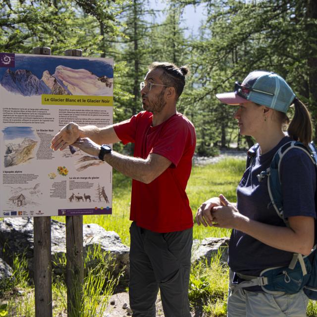 (c) Thierry Maillet - Parc national des Ecrins
