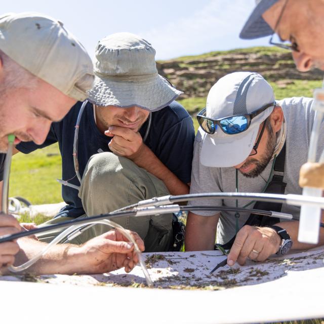 (c) Olivier Sabatier - Parc national des Ecrins
