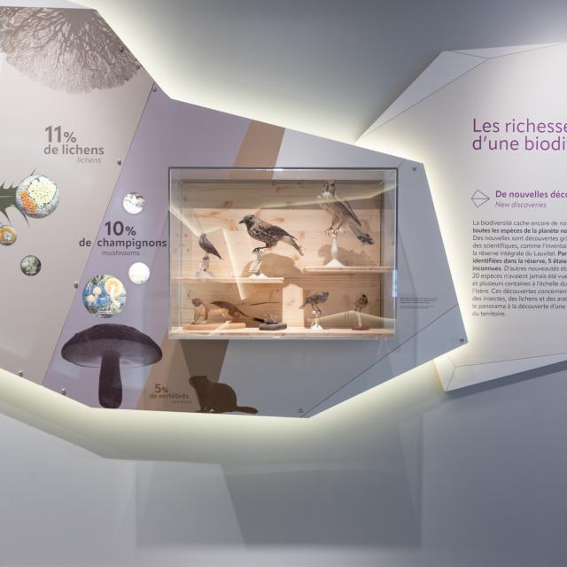 (c) Olivier Sabatier - Parc national des Ecrins