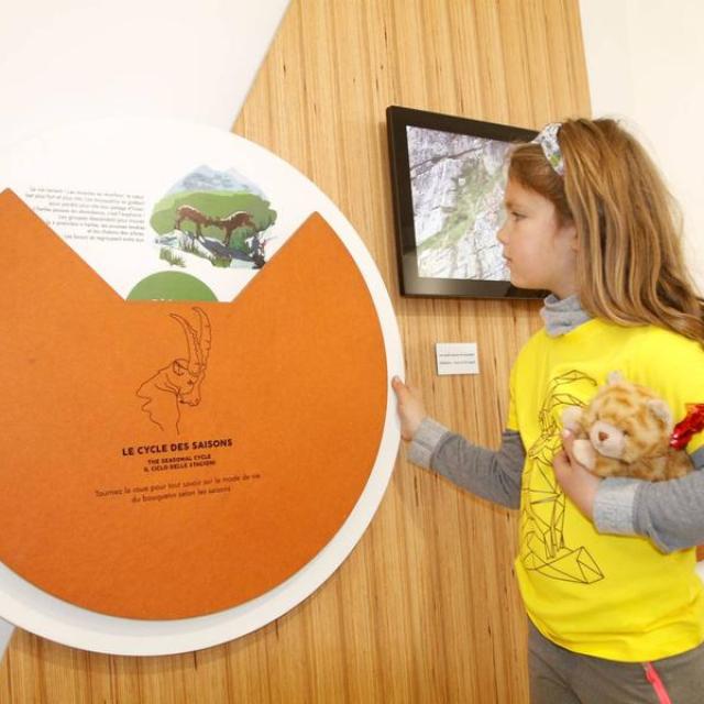 117692e_HD 117692e_HD