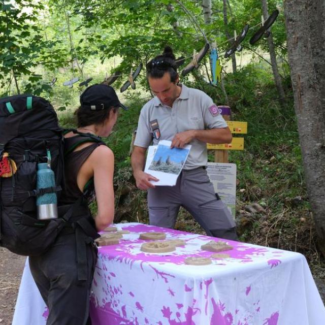Animation faune avec un garde-moniteur du Parc national des Écrins