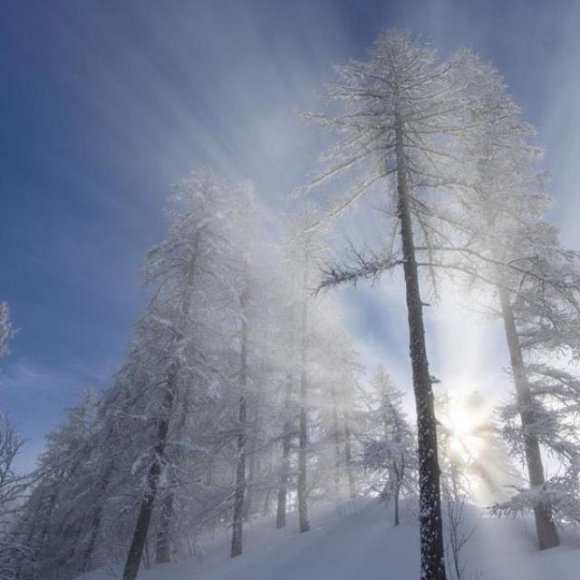 hiver TM