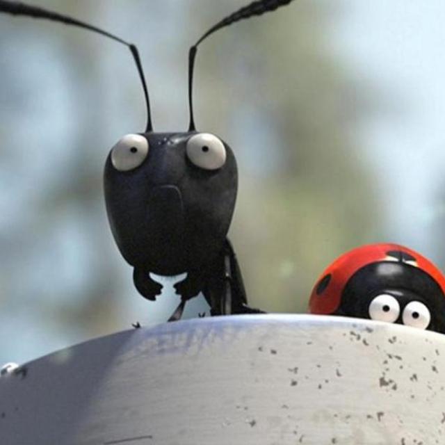 les écrins en minuscules