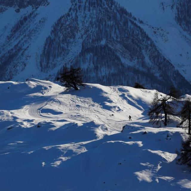 la tête et les jambes psv TM