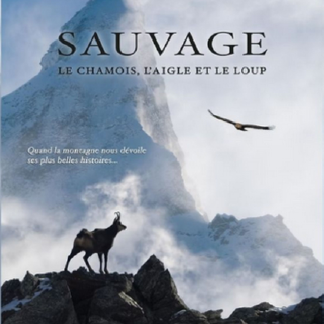 {103225C4-EFCC-4D45-8F83-E3653F4E5A74}