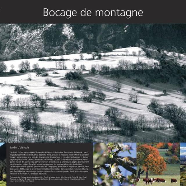 bocage_page-0001 bocage_page-0001