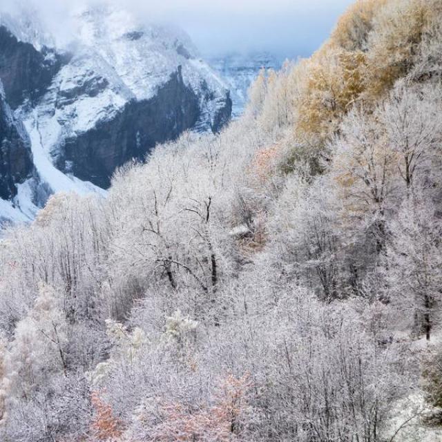 2014-11-18_neige Fressinières 15_MAT