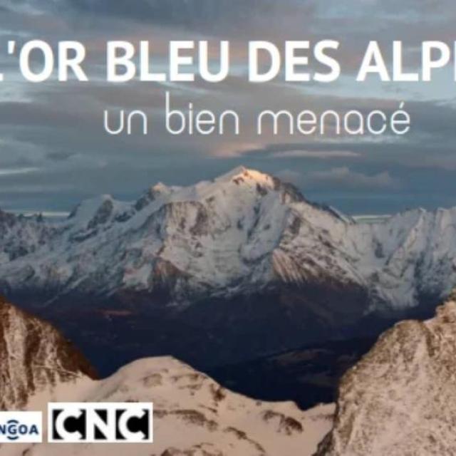 lor-bleu-des-alpes.png lor-bleu-des-alpes.png