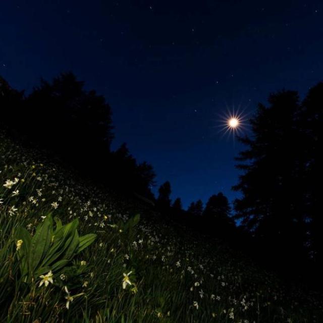 nuit