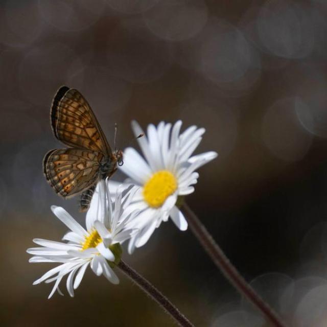 140243_HD 140243_HD