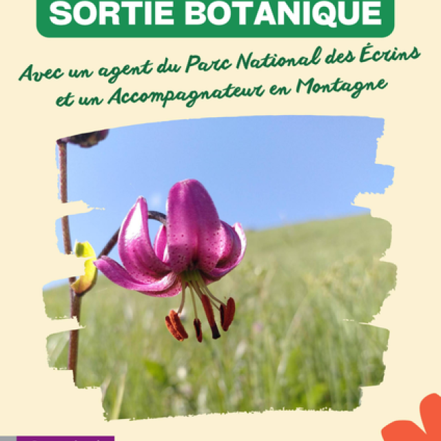 AFFICHE SORTIE FLORE ORNON