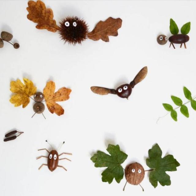 pop up insectes