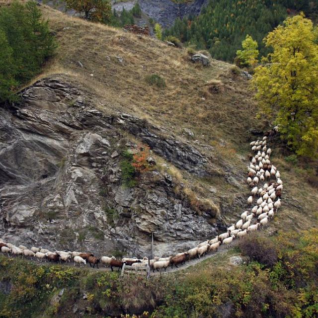 Démontagnage sur le sentier de Méollion © S. d'Houwt, PNE