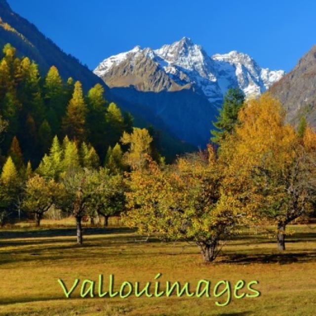 Vallouimages