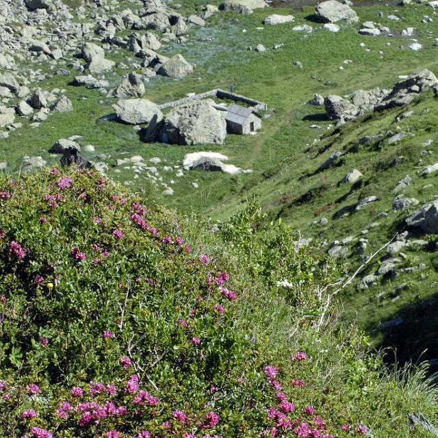 Cabane de Jas la croix - vallon de Chanteloube © Mireille Coulon - Parc national des Ecrins