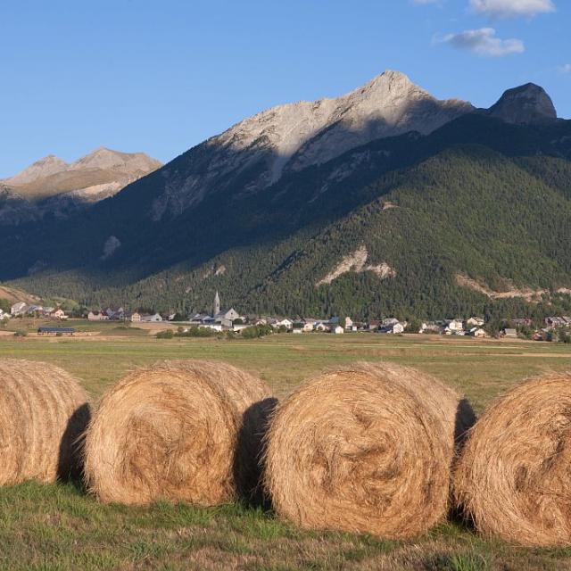 La plaine d'Ancelle - foins © Pascal Saulay - Parc national des Ecrins