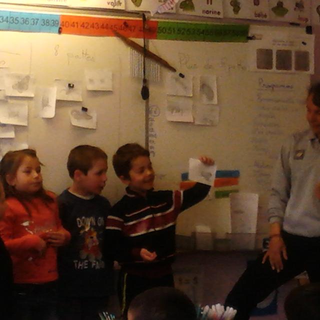 travaux en classe - école de la Bessée - projet avec le Parc national des Ecrins