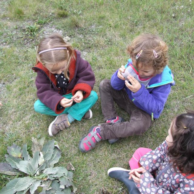 Animations école l'Argentière la Bessée - Parc national des Ecrins